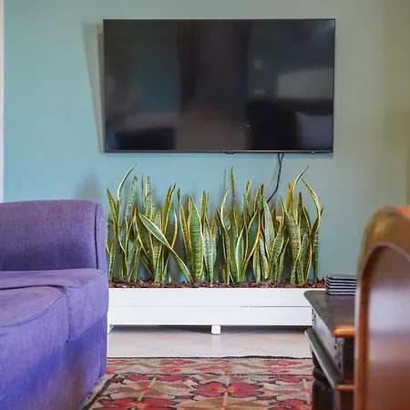 شقة ΛΝΛPliON home نافبليو